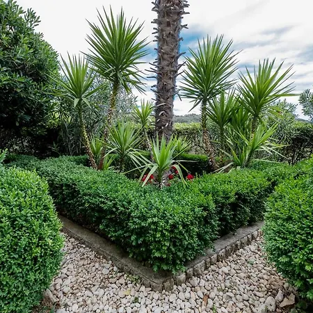 Anica Bed & Breakfast